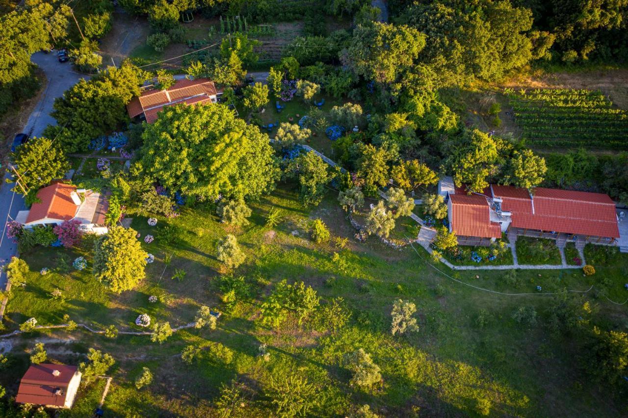 Alekas Studios Therma  Exterior foto